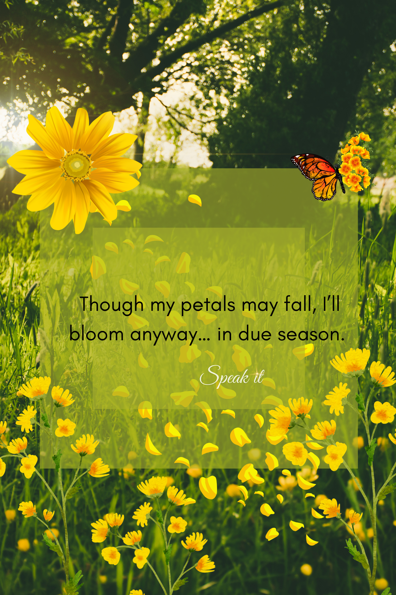 Blooming season