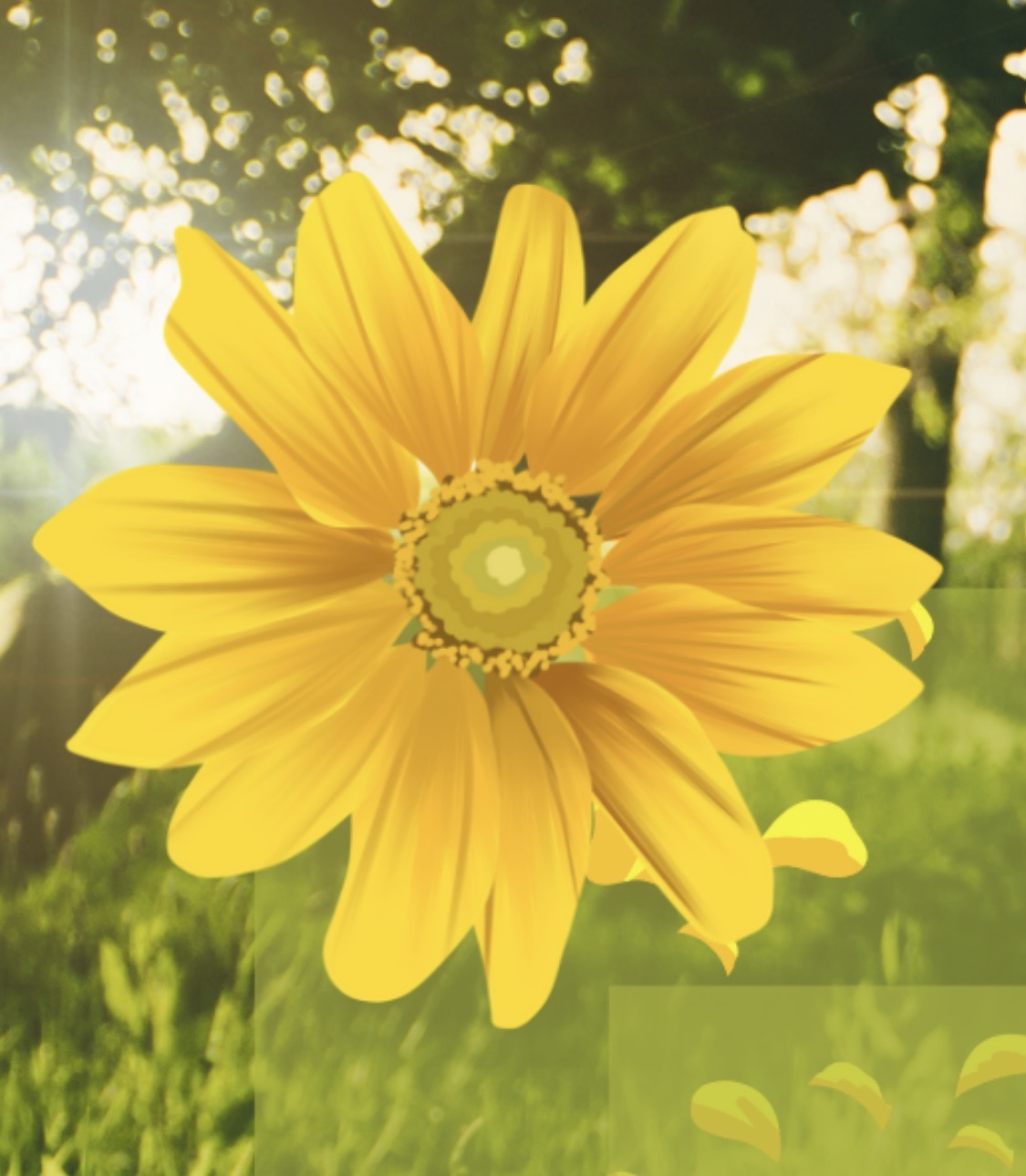 Blooming season