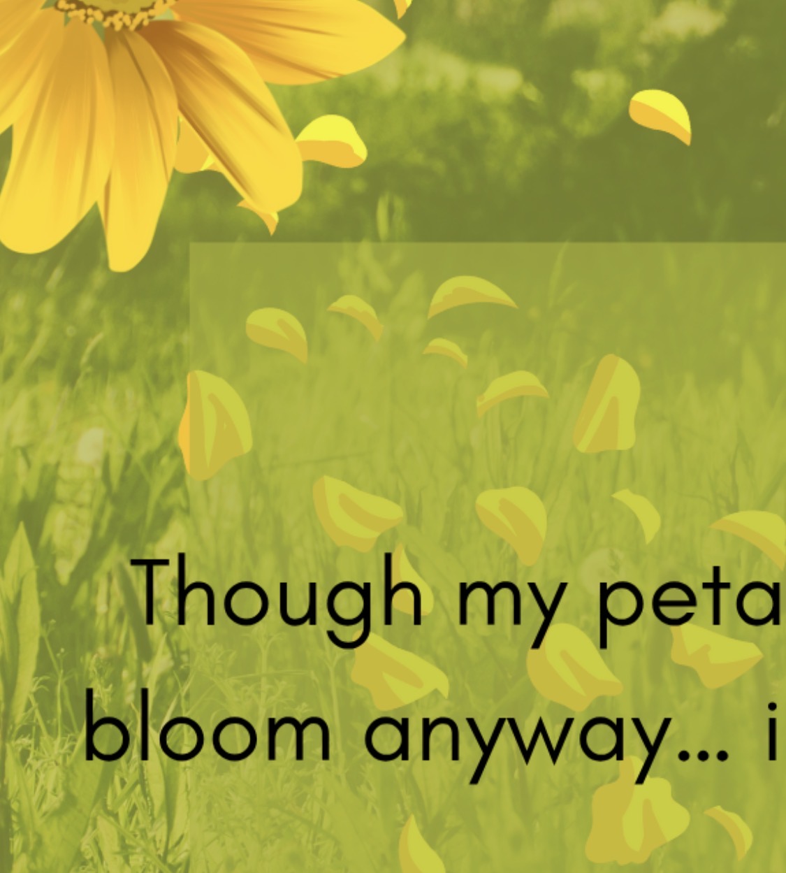 Blooming season
