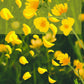 Blooming season