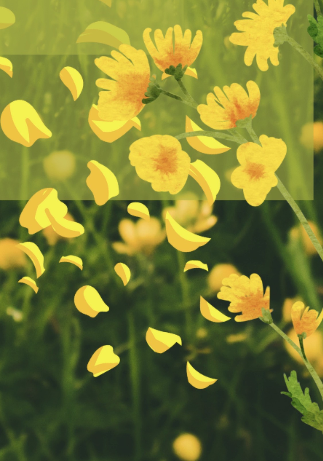 Blooming season