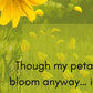 Blooming season